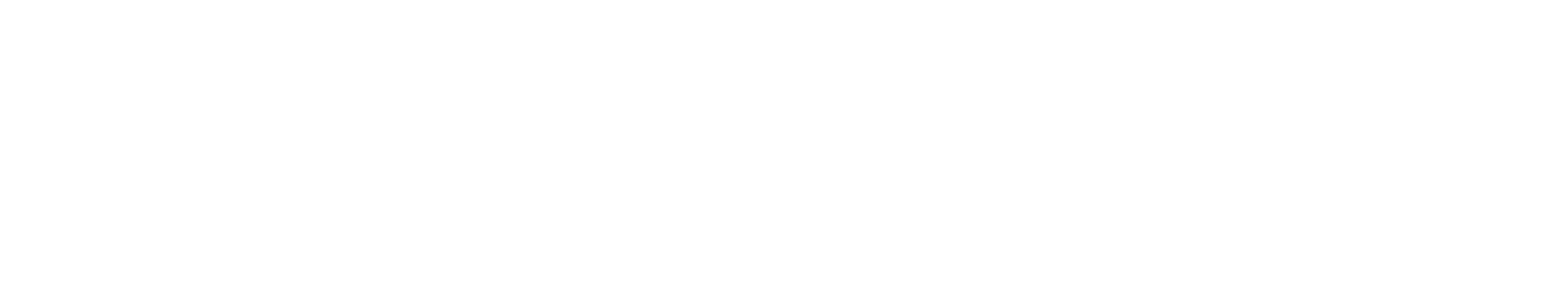Turistikus